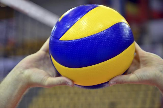 Setter Training.jpg